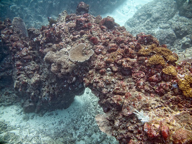 Underwater Scene, Canyons
